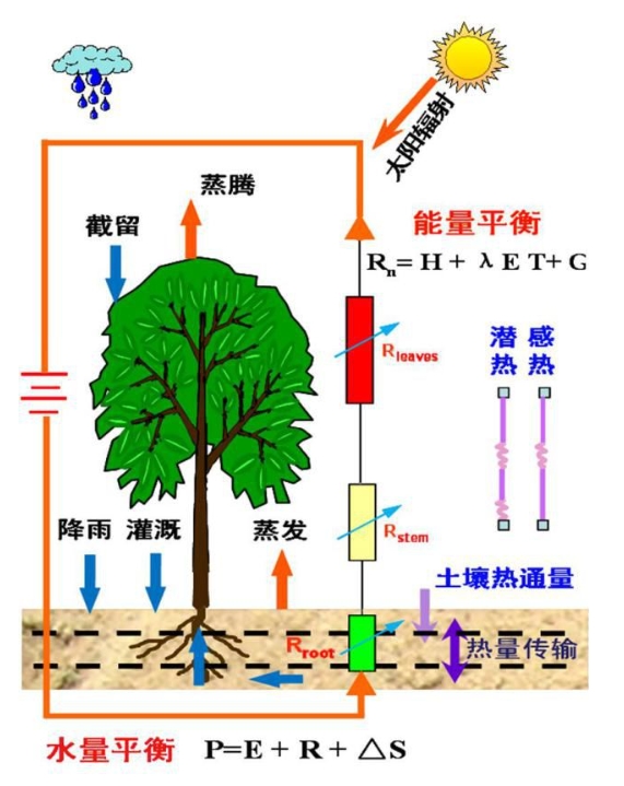 蒸散量测定方法及原理！