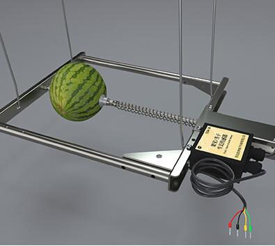 树干生长传感器、西瓜生长传感器