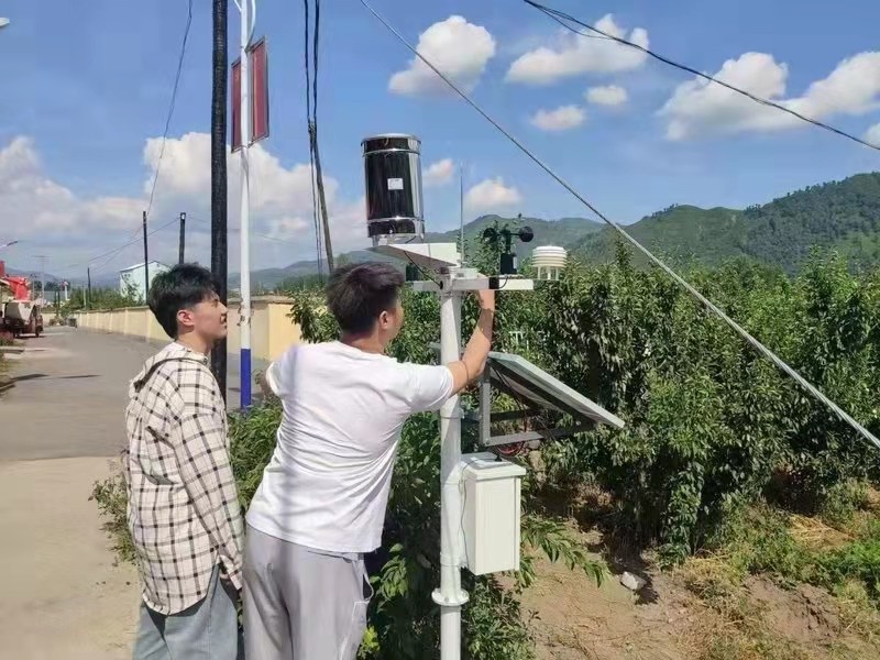 植物群落冠层温度监测系统