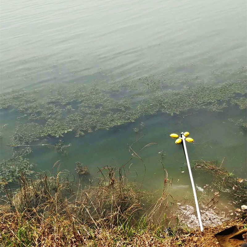 泰安市湿地公园水质监测系统落成！