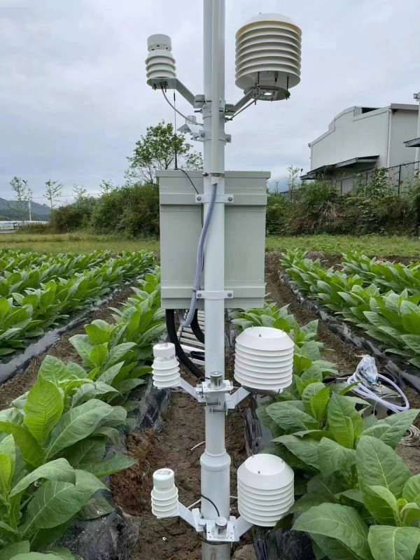 云南烟草种植基地墒情气象监测系统安装落成！